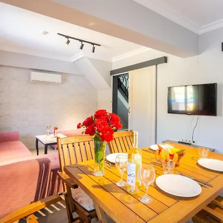 Βίλα Elmas Paradise *